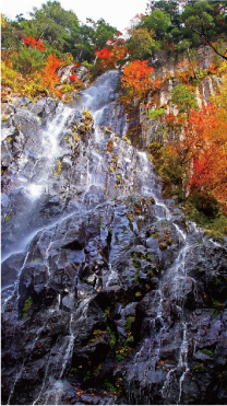 美しい紅葉を流れ落ちる青垂滝雄滝の水の流れ（五色ケ原）