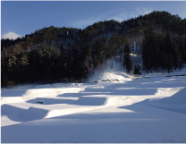 陰影のコントラストが美しい雪の棚田