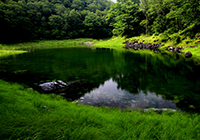 静かに水をたたえるシラビソコースの池